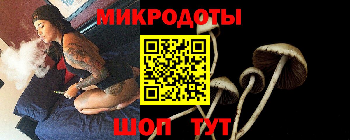 Псилоцибиновые грибы Cubensis  Вход с VPN  закладка  Новочебоксарск  Галлюциногенные грибы ЛСД 